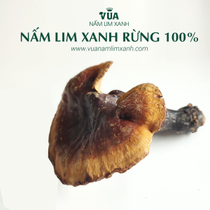 nam-lim-xanh-rung-100 (4)